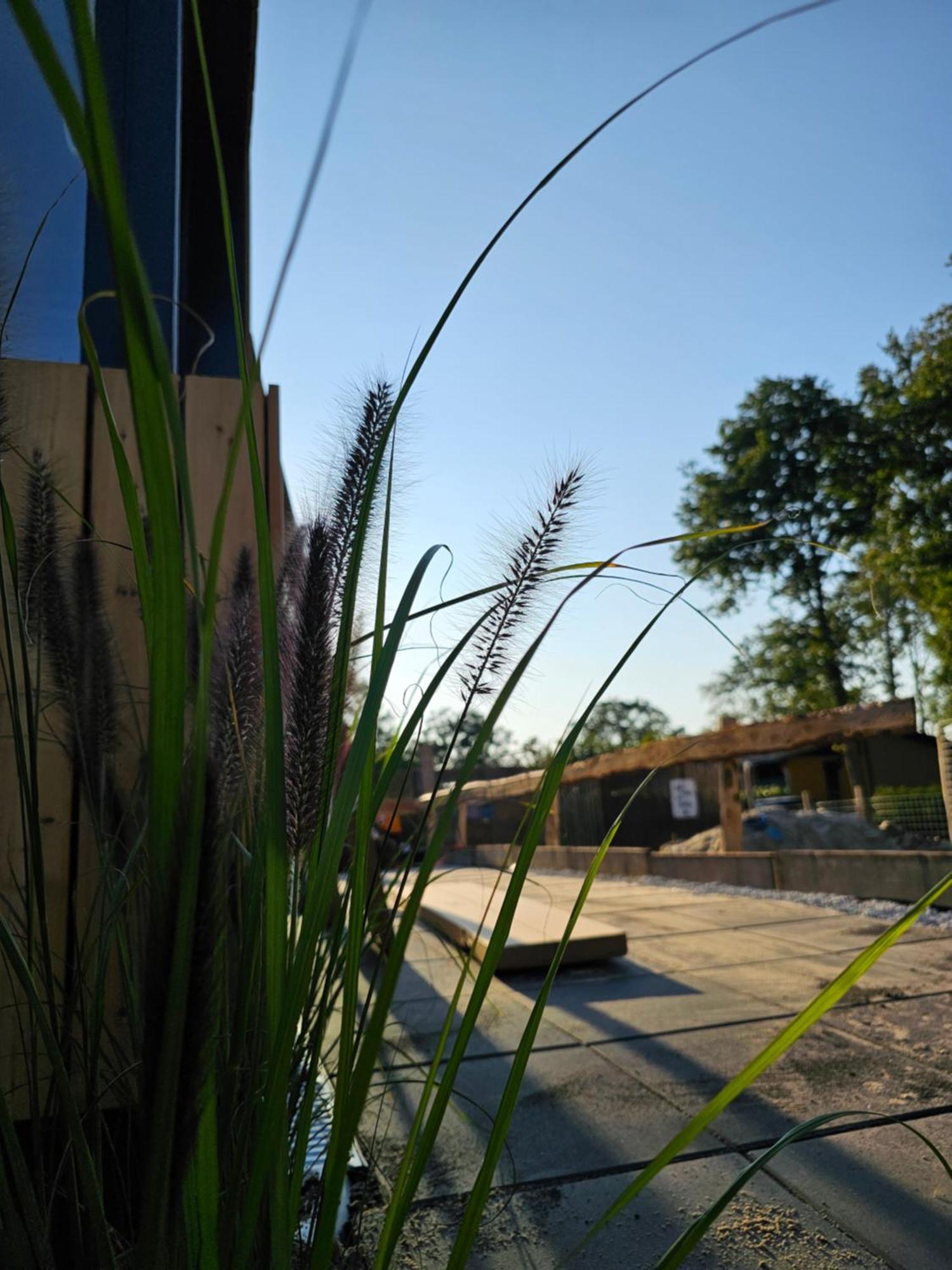 "Chalet Zanna" Opende-Oost Kültér fotó